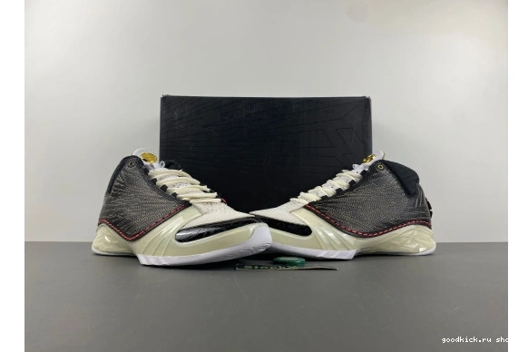 TITAN  Jordan  CZ6222-001 CZ6222-001 23 0412